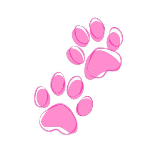 paw picks